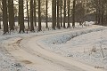 Sneeuwlandschap Achterhoek 2